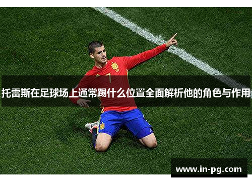 托雷斯在足球场上通常踢什么位置全面解析他的角色与作用