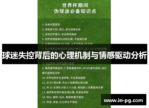 球迷失控背后的心理机制与情感驱动分析