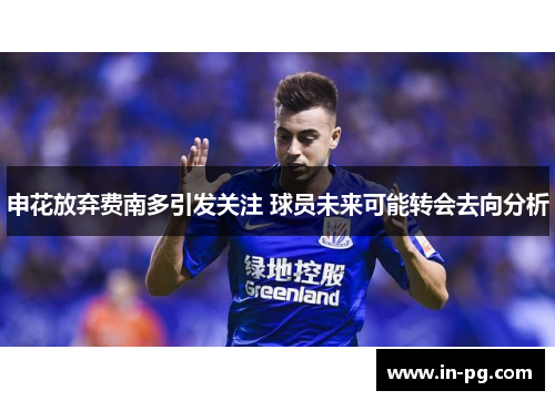 申花放弃费南多引发关注 球员未来可能转会去向分析