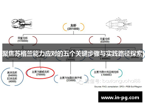 聚焦苏格兰能力应对的五个关键步骤与实践路径探索