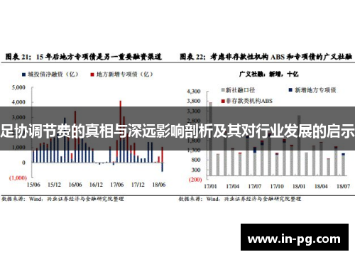 足协调节费的真相与深远影响剖析及其对行业发展的启示