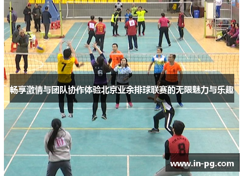 畅享激情与团队协作体验北京业余排球联赛的无限魅力与乐趣